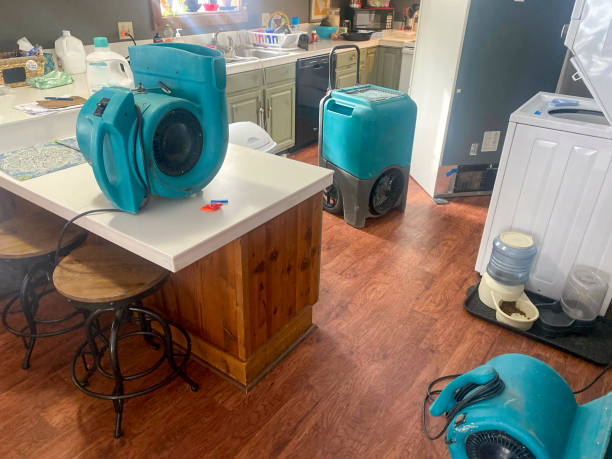Best Professional water damage repair  in Grayson Vley, AL
