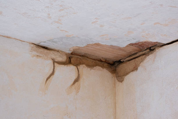 Best Commercial water damage restoration  in Grayson Vley, AL