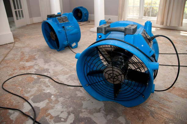 Best 24-hour water damage restoration  in Grayson Vley, AL