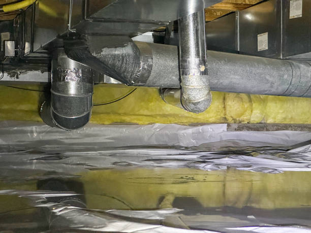 Best Fire Damage Restoration  in Grayson Vley, AL